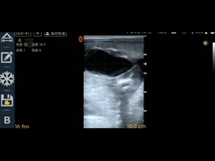 Weterynaryjny UL8-4T