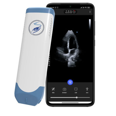 kupować Bezprzewodowy ręczny skaner ultradźwiękowy Phased Array kieszonkowy ultrasonograf serca 5 MHz do echokardiografii POCUS online manufacture