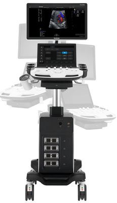 kupować Wózek 5D Sonoscape Echo Machine P11 Elite z 4 złączami przetwornika online manufacture