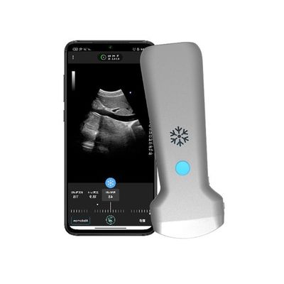kupować Bezprzewodowy ręczny ultradźwiękowy wypukły ISO13485 | Przenośna sonda ultradźwiękowa z kolorowym dopplerem online manufacture