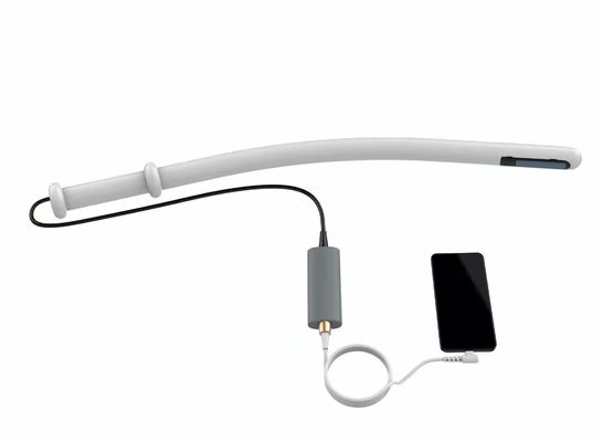 kupować Weterynaryjny system ultrasonograficzny Maszyna do ultrasonografii bydła 4,0 MHz 6,0 MHz 8,0 MHz online manufacture