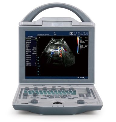 kupować 10,4-calowy wyświetlacz LED Ultradźwięk weterynaryjny Przenośna maszyna ultrasonograficzna dla świń 4,5 kg online manufacture