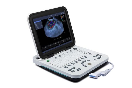 kupować 15-calowy wyświetlacz LCD Przenośna maszyna do ultrasonografii weterynaryjnej Zastosowanie weterynaryjne online manufacture