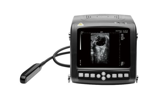 kupować 5,7-calowy wyświetlacz LCD Przenośna weterynaryjna maszyna do ultrasonografii żywego inwentarza 1,1 kg online manufacture