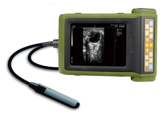 kupować Przenośna maszyna ultradźwiękowa dla zwierząt hodowlanych do diagnostyki ciąży i aspiracji pęcherzyka online manufacture