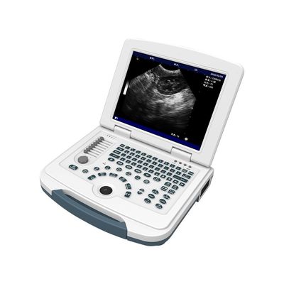 kupować Platforma PC Weterynaryjna maszyna ultrasonograficzna 12,1-calowy skaner ultrasonograficzny zwierząt LCD online manufacture