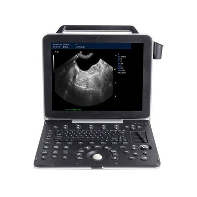 kupować 15-calowy przenośny ultrasonograf weterynaryjny LCD Obrazowanie 2D w skali szarości online manufacture