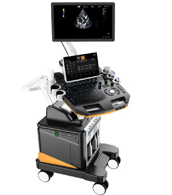 kupować Ultrasonograf weterynaryjny z kolorowym dopplerem 3D/4D Profesjonalny system obrazowania małych zwierząt z wyświetlaczem LCD o przekątnej 21,5 cala online manufacture