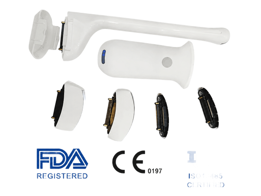 kupować Bezprzewodowy przenośny skaner ultradźwiękowy z 192 elementami Portable POCUS System z wymiennymi sondami online manufacture