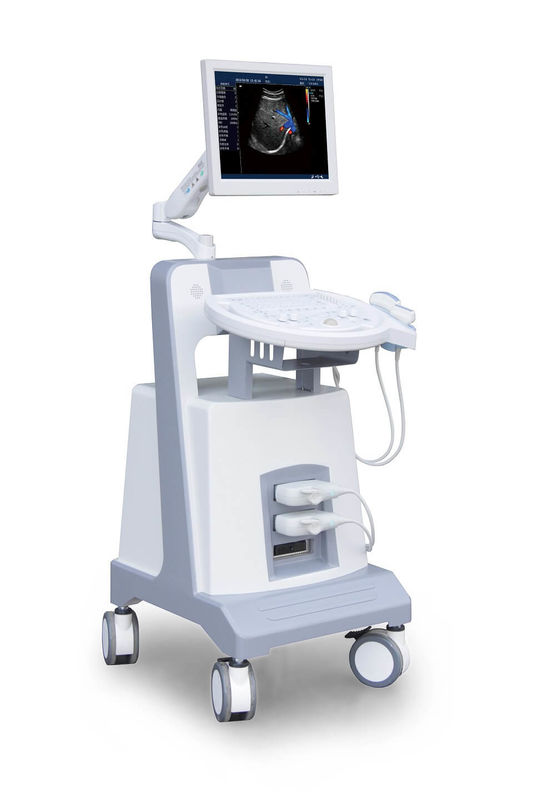Podstawowy wózek do diagnostyki ultradźwiękowej Color Doppler Ultradźwiękowy przyrząd diagnostyczny 500 GB